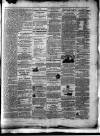 Colonial Standard and Jamaica Despatch Saturday 23 January 1875 Page 7