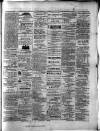 Colonial Standard and Jamaica Despatch Tuesday 26 January 1875 Page 3