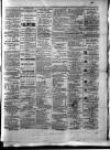 Colonial Standard and Jamaica Despatch Wednesday 27 January 1875 Page 3