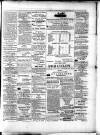 Colonial Standard and Jamaica Despatch Tuesday 06 April 1875 Page 3