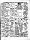 Colonial Standard and Jamaica Despatch Wednesday 07 April 1875 Page 3