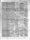 Colonial Standard and Jamaica Despatch Wednesday 09 February 1876 Page 3