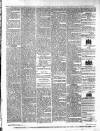 Colonial Standard and Jamaica Despatch Friday 25 February 1876 Page 3