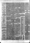 Colonial Standard and Jamaica Despatch Saturday 13 January 1877 Page 2