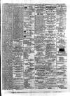 Colonial Standard and Jamaica Despatch Monday 15 January 1877 Page 3