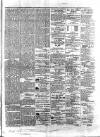 Colonial Standard and Jamaica Despatch Friday 02 March 1877 Page 3