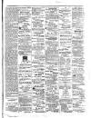 Colonial Standard and Jamaica Despatch Friday 23 March 1877 Page 3