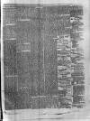 Colonial Standard and Jamaica Despatch Thursday 24 January 1878 Page 7