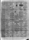 Colonial Standard and Jamaica Despatch Thursday 14 March 1878 Page 3