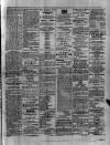 Colonial Standard and Jamaica Despatch Saturday 06 April 1878 Page 3