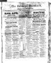 Colonial Standard and Jamaica Despatch Thursday 01 January 1880 Page 1