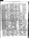 Colonial Standard and Jamaica Despatch Monday 05 January 1880 Page 3