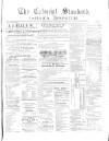 Colonial Standard and Jamaica Despatch Friday 08 January 1886 Page 1