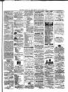 Colonial Standard and Jamaica Despatch Saturday 17 March 1888 Page 3