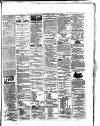 Colonial Standard and Jamaica Despatch Thursday 18 July 1889 Page 3