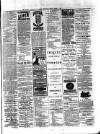 Colonial Standard and Jamaica Despatch Saturday 01 March 1890 Page 3