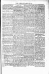 Voice of St. Lucia Saturday 21 March 1885 Page 3