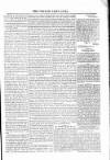 Voice of St. Lucia Saturday 28 March 1885 Page 3