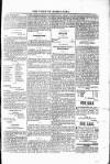 Voice of St. Lucia Saturday 30 May 1885 Page 3