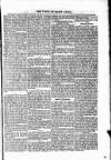 Voice of St. Lucia Saturday 06 February 1886 Page 3