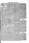 Voice of St. Lucia Saturday 06 March 1886 Page 3