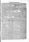 Voice of St. Lucia Saturday 20 March 1886 Page 3