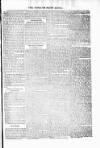 Voice of St. Lucia Saturday 27 March 1886 Page 3