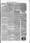 Voice of St. Lucia Saturday 24 April 1886 Page 3