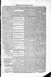 Voice of St. Lucia Saturday 19 June 1886 Page 3