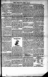 Voice of St. Lucia Saturday 11 December 1886 Page 3