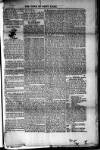 Voice of St. Lucia Saturday 12 February 1887 Page 3