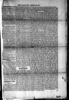 Voice of St. Lucia Saturday 19 February 1887 Page 3