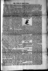 Voice of St. Lucia Saturday 12 March 1887 Page 3