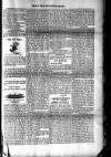 Voice of St. Lucia Saturday 06 August 1887 Page 3
