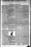 Voice of St. Lucia Saturday 04 February 1888 Page 3