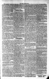 Voice of St. Lucia Saturday 08 December 1888 Page 3