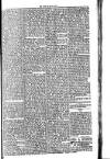 Voice of St. Lucia Saturday 02 February 1889 Page 3