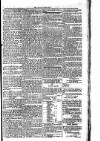 Voice of St. Lucia Saturday 27 April 1889 Page 3
