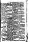 Voice of St. Lucia Saturday 18 May 1889 Page 3