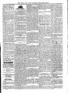 Voice of St. Lucia Saturday 22 March 1890 Page 3