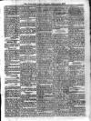 Voice of St. Lucia Saturday 17 January 1891 Page 3