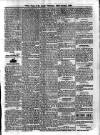 Voice of St. Lucia Saturday 24 January 1891 Page 3