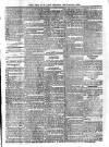 Voice of St. Lucia Saturday 07 February 1891 Page 3