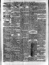 Voice of St. Lucia Saturday 06 June 1891 Page 3