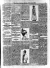 Voice of St. Lucia Saturday 17 October 1891 Page 3