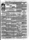 Voice of St. Lucia Saturday 24 October 1891 Page 4