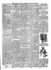 Voice of St. Lucia Saturday 25 March 1893 Page 3