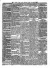 Voice of St. Lucia Saturday 25 November 1893 Page 3