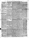 Voice of St. Lucia Thursday 26 February 1903 Page 4