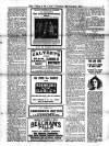 Voice of St. Lucia Thursday 04 February 1904 Page 3